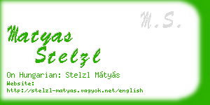 matyas stelzl business card